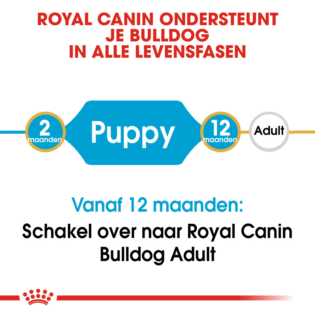 Royal Canin hondenvoer Bulldog Puppy 3 kg